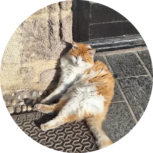 Rodos wycieczka – komfortowe zwiedzanie po polsku z lokalnym biurem podróży